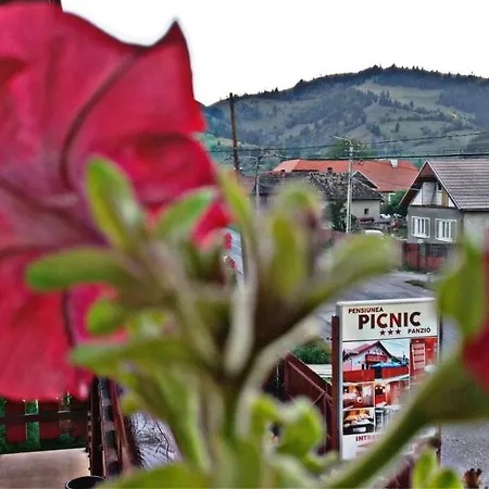 Picnic Panzio Bed & Breakfast